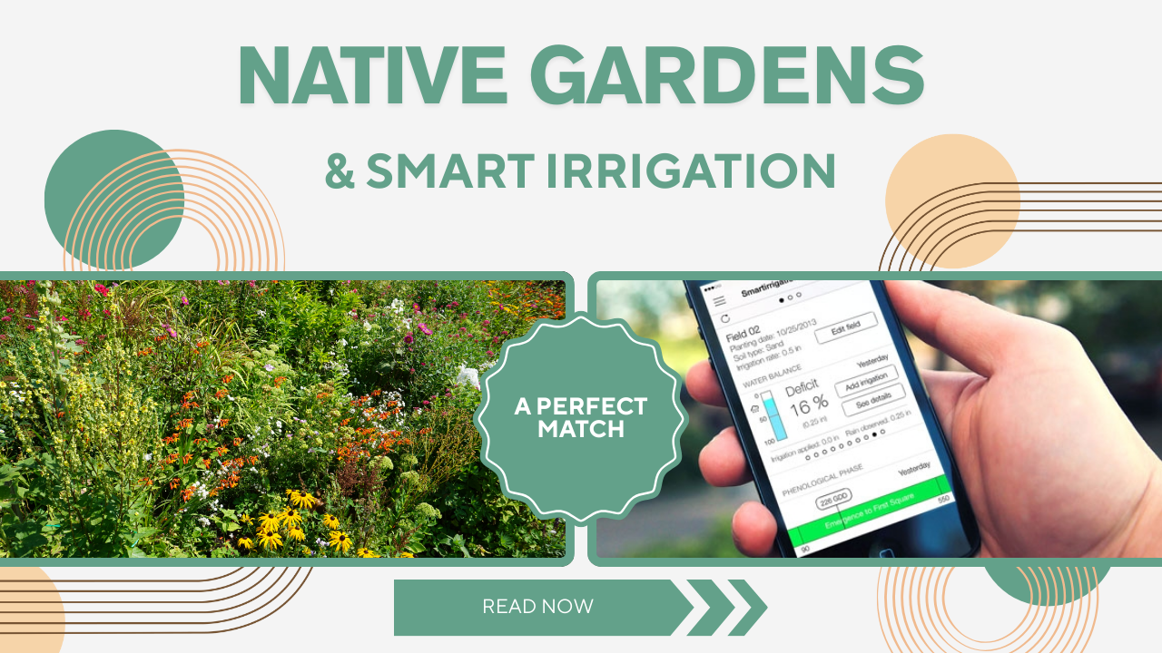 Native Plant Gardens + Smart Irrigation: A Perfect Match